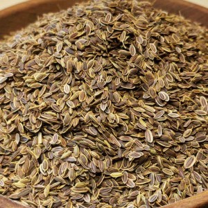 تخم شوید خوراکی و کاشتنی