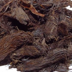 سنبل الطیب هندی بدون خاک