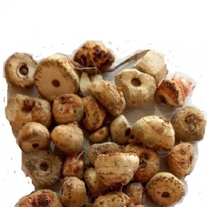 گیاه زراوند اصل