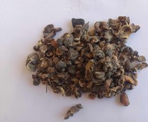 زالو خشک پاکستانی  (مخلوط با حلزون) کلاژن ساز طبیعی