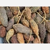 هندوانه کبر خشک شده با ساقه