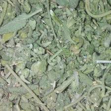 گیاه فراسیون کبیر