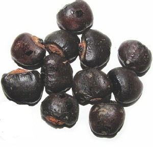 میوه کمیاب بلادور هندی