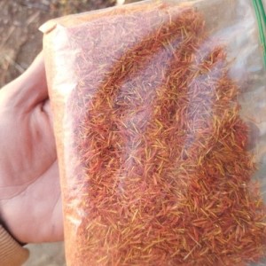 گل گلرنگ شیرازی 30 گرمی