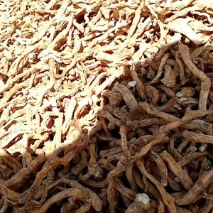 شقاقل خشک کوهستانی 100 گرمی