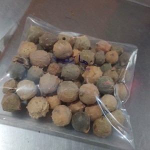 مازو جنگلی درشت 110 گرمی