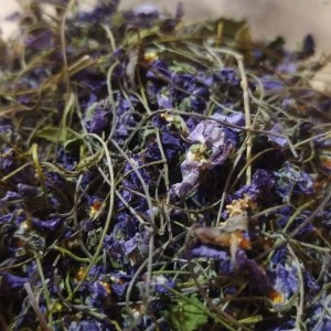 گل بنفشه کردستان 50 گرمی