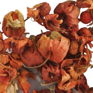 عروسک پشت پرده 50 گرمی