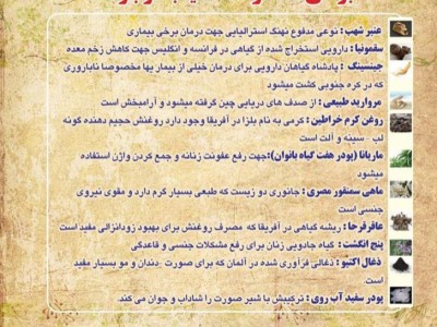 عطاری خراسانی 15 سال سابقه فروش اینترنتی