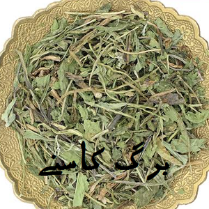 برگ کاسنی 250 گرمی  پاکسازی کبدی