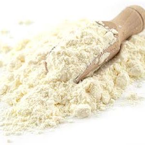 پودر سفیده تخم مرغ 100 گرمی 