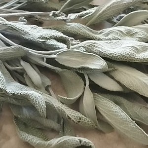 مریم گلی 200 گرمی خشک شده 