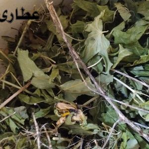 برگ و ساقه گیاه گل ساعتی 75 گرمی 