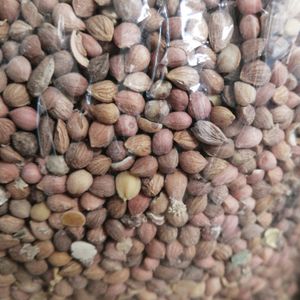 گیاه مهلب وحشی (آلبالو تلخ) صد گرمی 