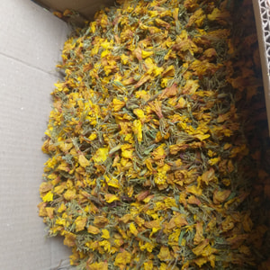 گل مغربی 25 گرمی خشک شده 