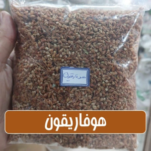 بذر گل هوفاریقون  100 گرمی 
