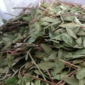 برگ مورد نسابیده  200 گرمی 