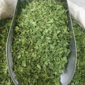 برگ گشنیز خشک 100 گرمی 