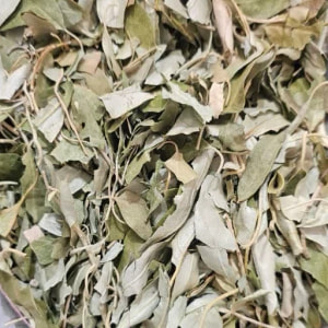 برگ سنجد 100 گرمی 