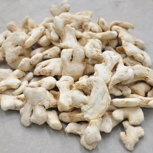 مرکز پخش و فروش زنجبیل قلم