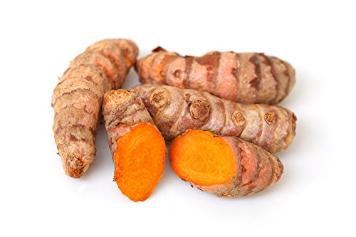 زردچوبه قلم از کجا بخریم