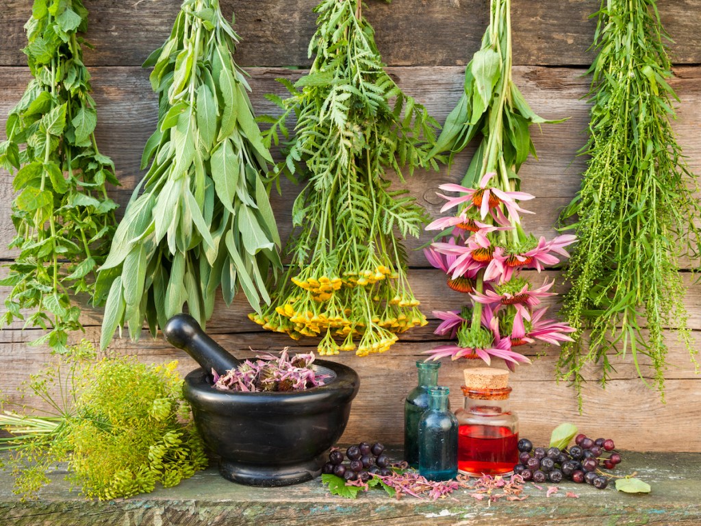 فروش گیاهان دارویی در اصفهان | خرده و عمده