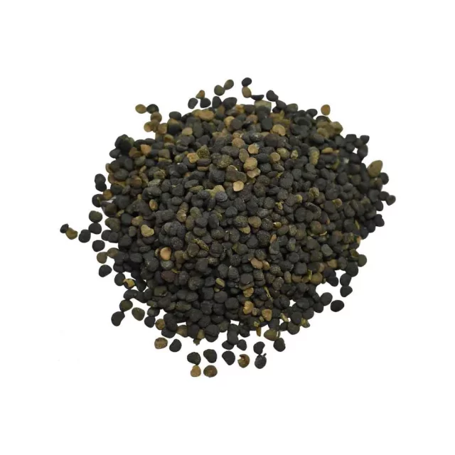 تخم تاتوره علفی