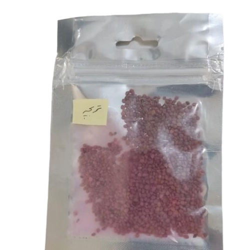 تخم تربچه بسته بندی