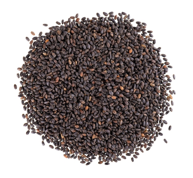 دانه یا تخم (بذر) ریحان بنفش