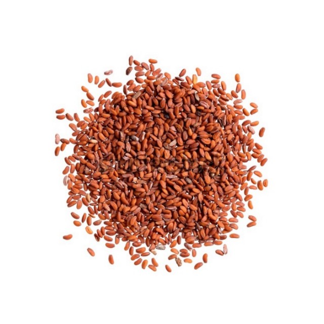 دانه یا تخم (بذر) شاهی