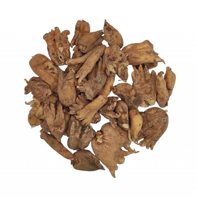 ثعلب پنجه ای