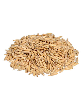 جو دوسر پوست کنده