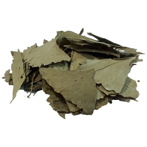 جینکو (کهن‌ دار)