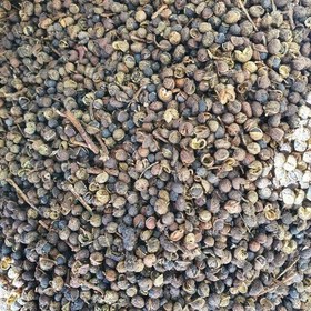 گیاه دهن باز