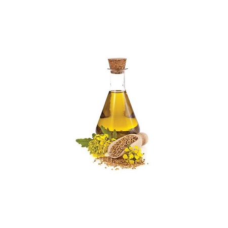 روغن بزرک 35 سی سی