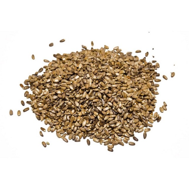 تخم خار مریم