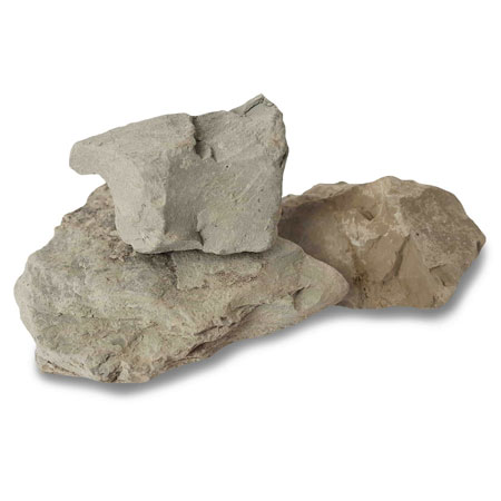 گل سر شوی (شیرازی)