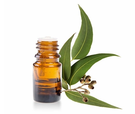 محلول اکالیپتوس