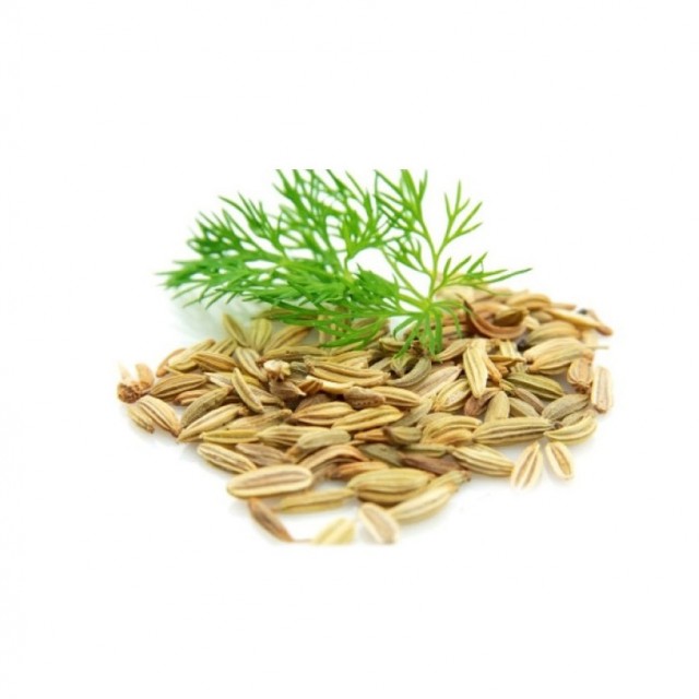 تخم شوید خارجی