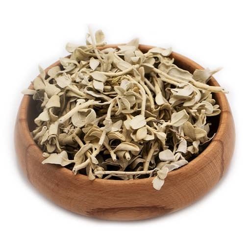 گیاه پولک (پلک)