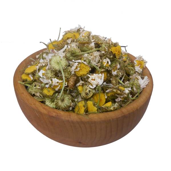 بابونه گاوی (گل درشت)