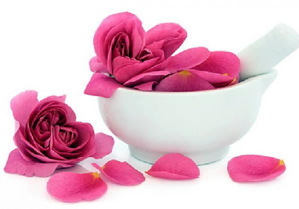 برگ گل محمدی