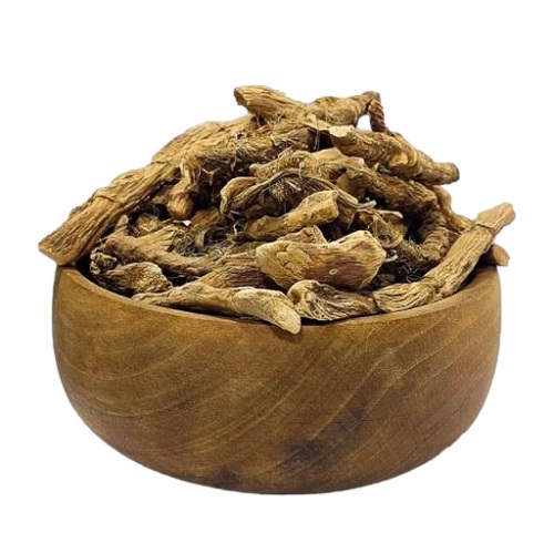 ریشه اگیر ترکی