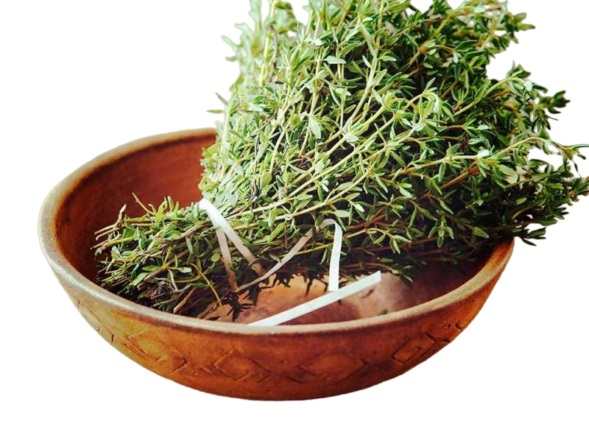 آویشن کوهی