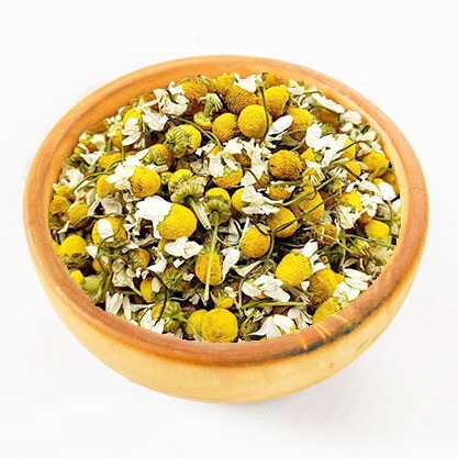 بابونه گل درشت