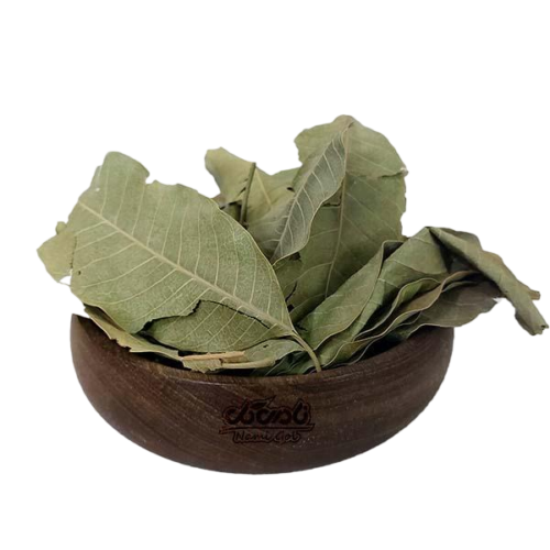 برگ انبه سبز