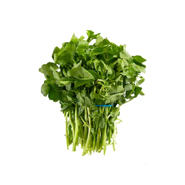 بولاغ اوتی (علف چشمه)