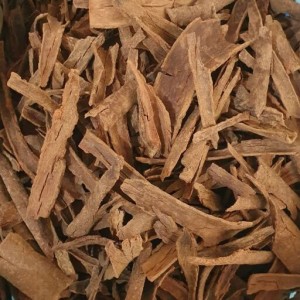 پوست درخت میخک (قرفه القرنفل)