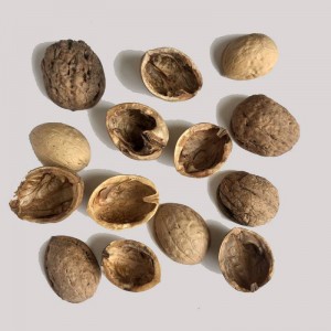 پوست گردو نرم