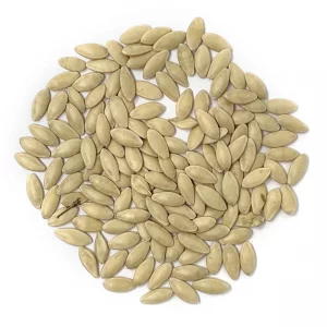 دانه یا تخم (بذر) خیار